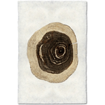 Cedar - Amethyst Home