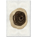 Cedar - Amethyst Home