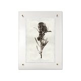 This Banksia is made from raw edge handmade paper from Nepal. Hang in your kitchen, living room, or bedroom to bring the space some organic, raw character!  Fine art prints  Pencil signature