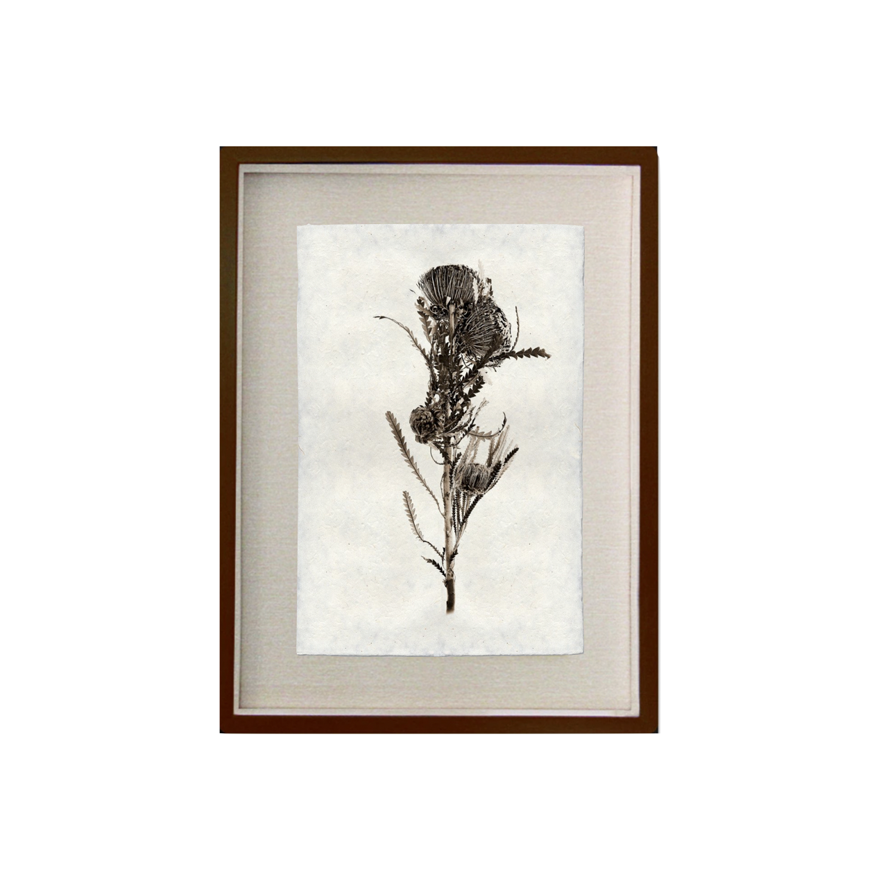 This Banksia is made from raw edge handmade paper from Nepal. Hang in your kitchen, living room, or bedroom to bring the space some organic, raw character!  Fine art prints  Pencil signature