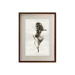 This Banksia is made from raw edge handmade paper from Nepal. Hang in your kitchen, living room, or bedroom to bring the space some organic, raw character!  Fine art prints  Pencil signature