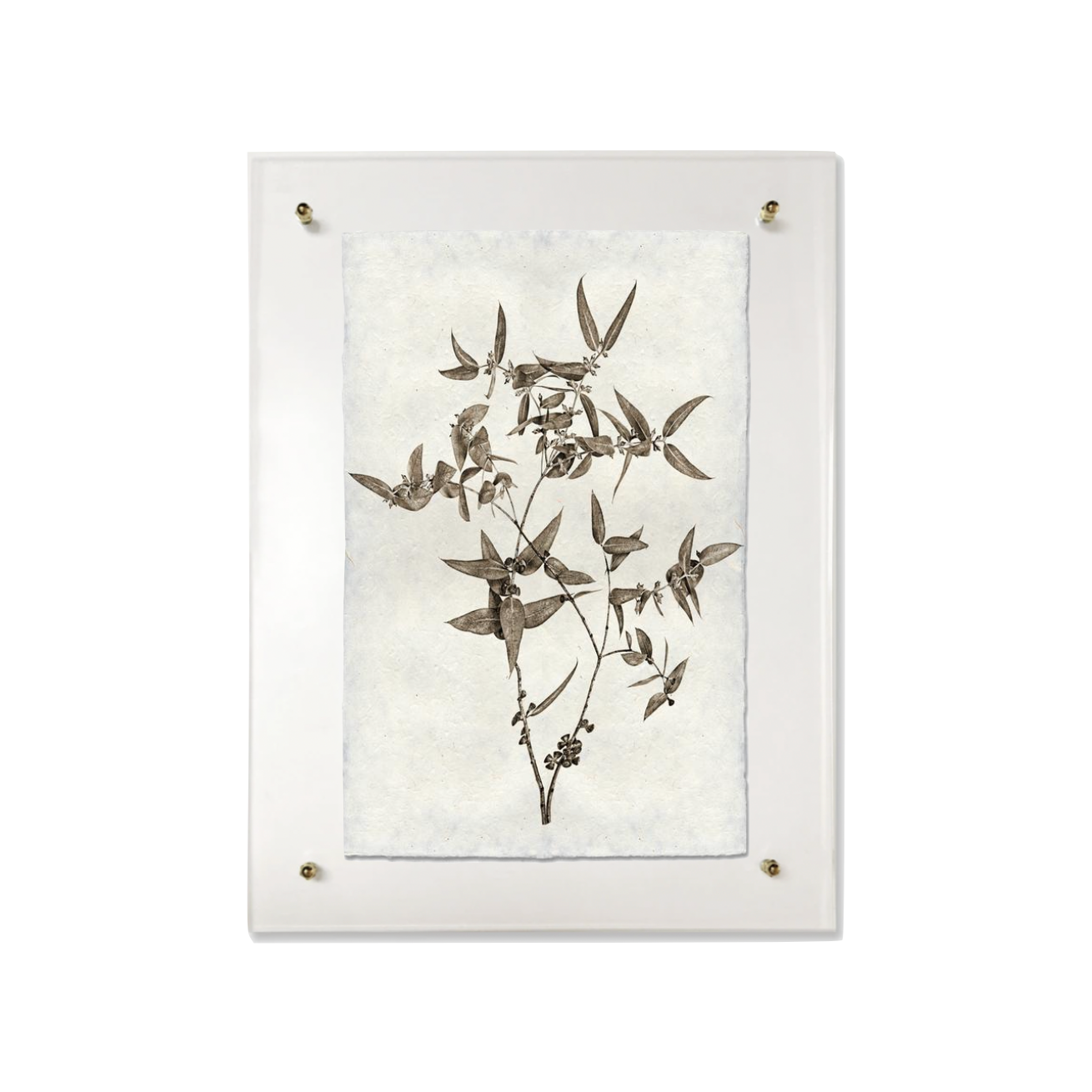 This Eucalyptus #3 is made from raw edge handmade paper from Nepal. Hang in your kitchen, living room, or bedroom to bring the space some organic, raw character! Fine art prints Pencil signature