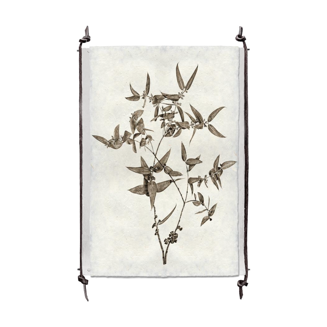 This Eucalyptus #3 is made from raw edge handmade paper from Nepal. Hang in your kitchen, living room, or bedroom to bring the space some organic, raw character! Fine art prints Pencil signature