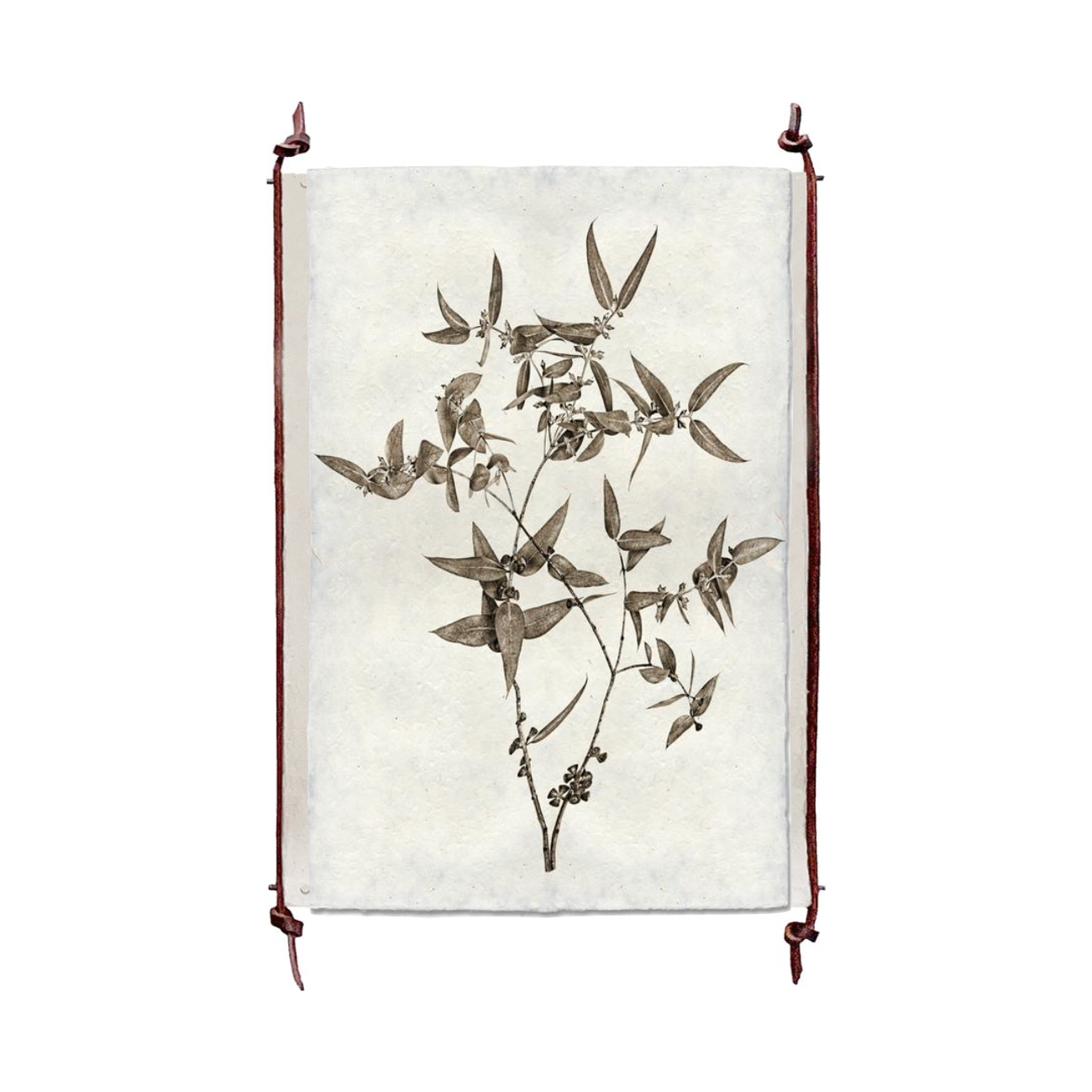 This Eucalyptus #3 is made from raw edge handmade paper from Nepal. Hang in your kitchen, living room, or bedroom to bring the space some organic, raw character! Fine art prints Pencil signature