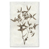 This Eucalyptus #3 is made from raw edge handmade paper from Nepal. Hang in your kitchen, living room, or bedroom to bring the space some organic, raw character! Fine art prints Pencil signature