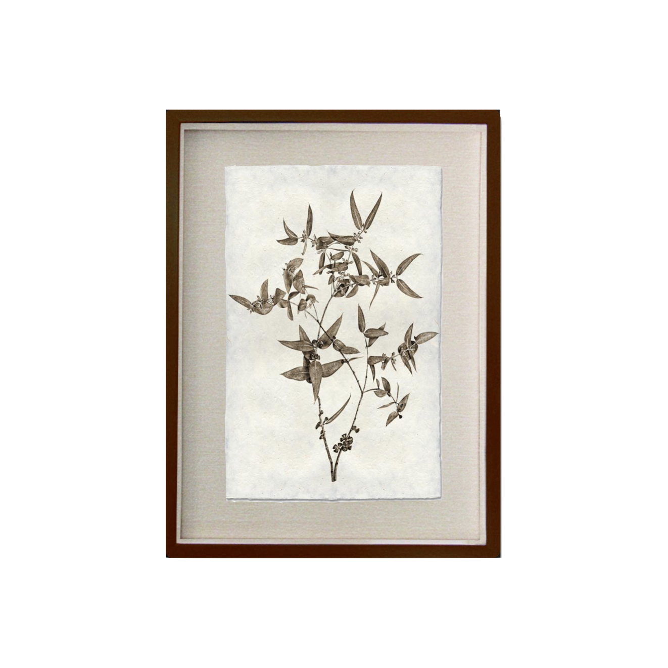 This Eucalyptus #3 is made from raw edge handmade paper from Nepal. Hang in your kitchen, living room, or bedroom to bring the space some organic, raw character! Fine art prints Pencil signature