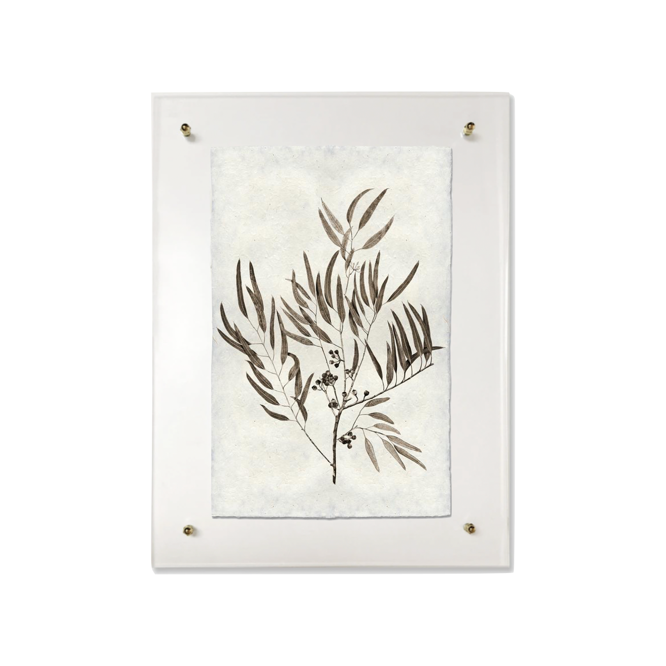 This Eucalyptus #4 is made from raw edge handmade paper from Nepal. Hang in your kitchen, living room, or bedroom to bring the space some organic, raw character! Fine art prints Pencil signature