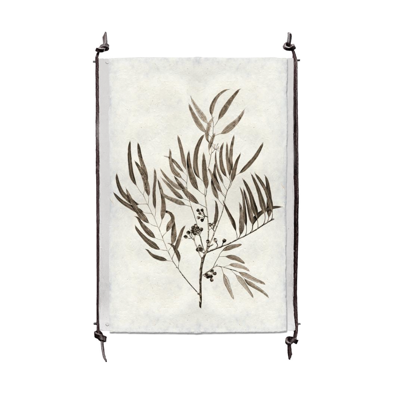This Eucalyptus #4 is made from raw edge handmade paper from Nepal. Hang in your kitchen, living room, or bedroom to bring the space some organic, raw character! Fine art prints Pencil signature