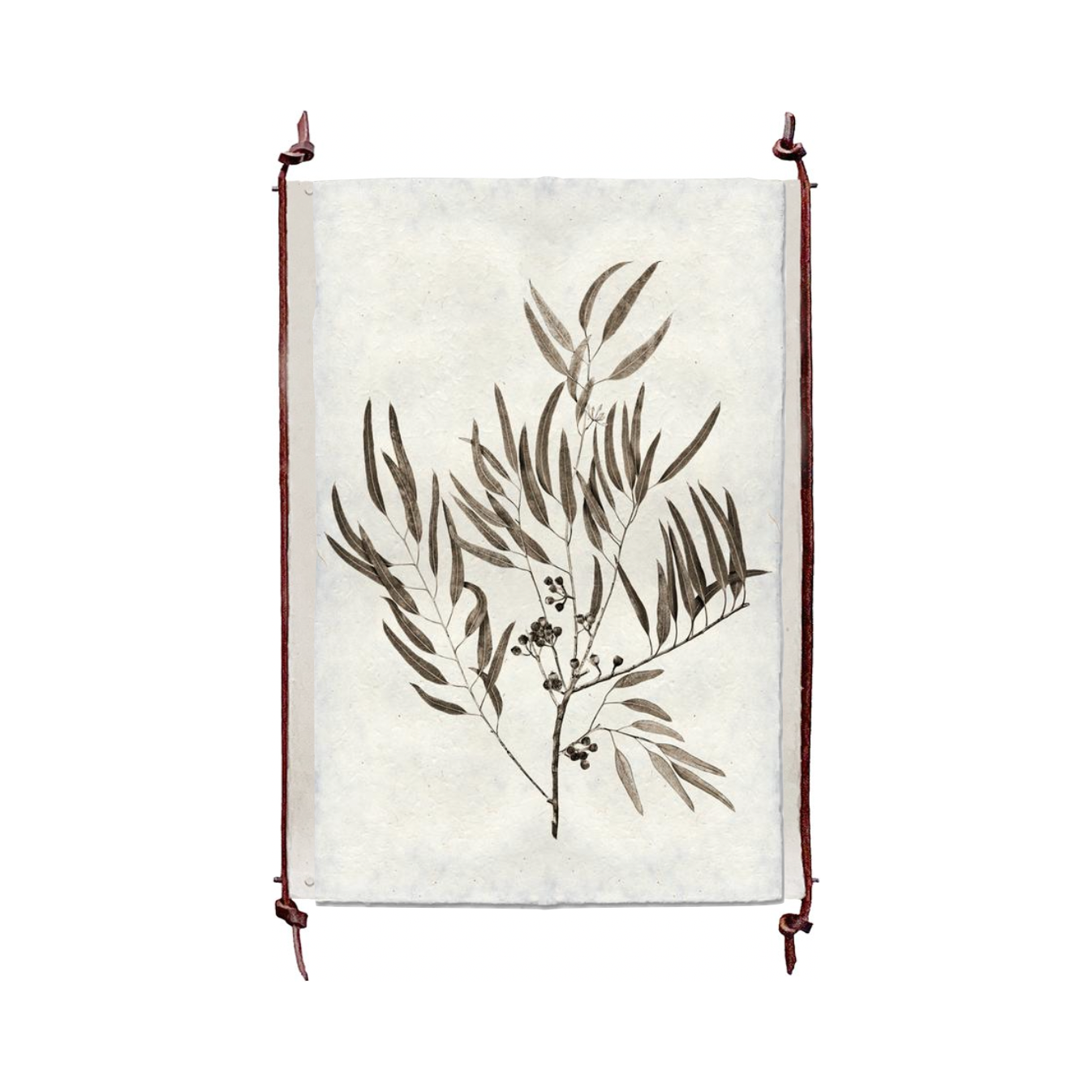 This Eucalyptus #4 is made from raw edge handmade paper from Nepal. Hang in your kitchen, living room, or bedroom to bring the space some organic, raw character! Fine art prints Pencil signature