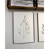 Wheat Form