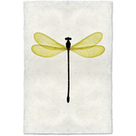 Yellow Damsel - Amethyst Home