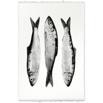Three Herring - Amethyst Home