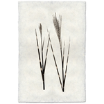 Grass Form - Amethyst Home