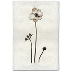 Anemone - Amethyst Home