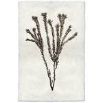 Tortum Form - Amethyst Home