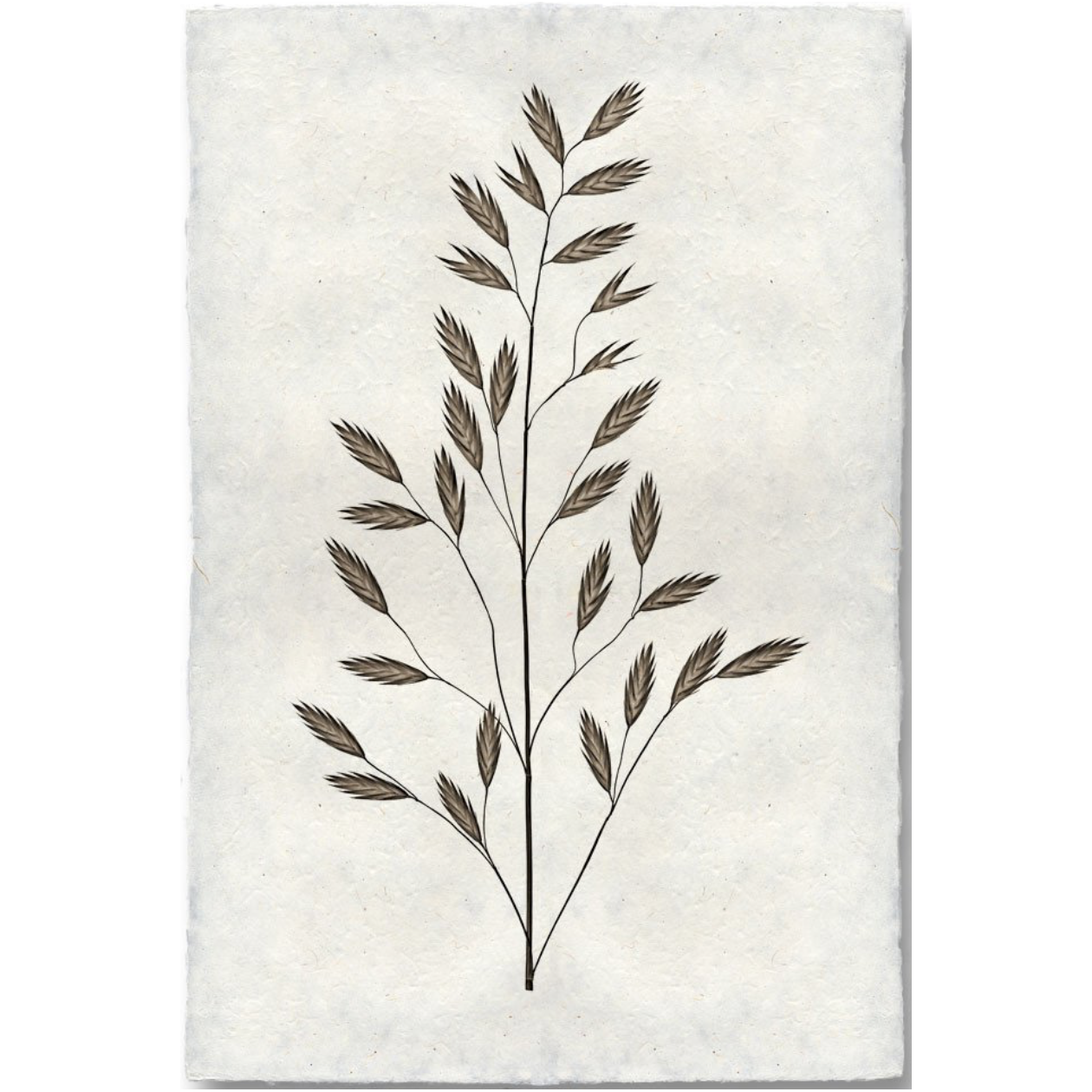 Burr Form #2 - Amethyst Home