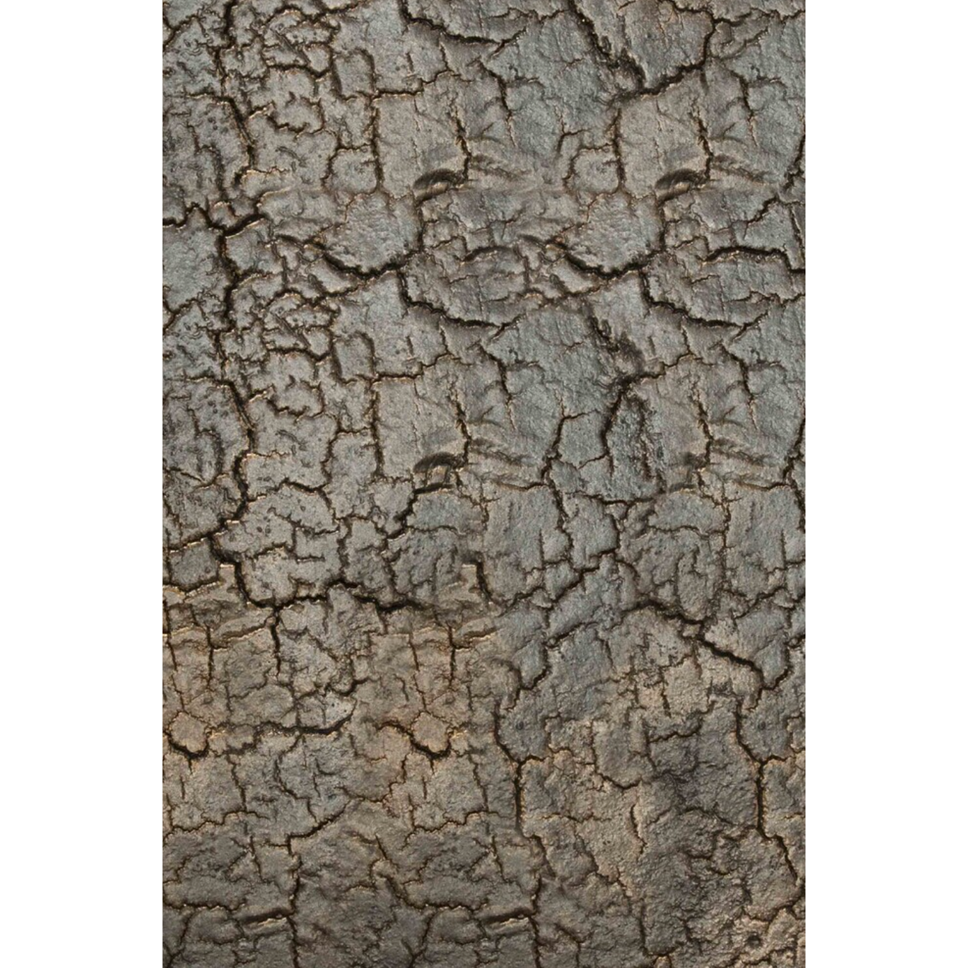 Featuring Pentagon Console Table - Lava - Whisky by Ethnicraft at Amethyst Home. The deep surface of the Pentagon console is shaped by hand by skilled artisans. Natural mineral powders and color pigments blend to form the console's unique finish. We love how this piece's simple lines showcase the clean beauty of well-crafted metal work. We imagine this.  Amethyst Home provides interior design, new home construction design consulting, vintage area rugs, and lighting in the Newport Beach metro area.