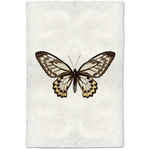 Butterfly #12 - Amethyst Home