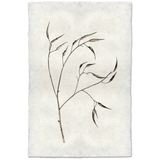 Pepper Form - Amethyst Home