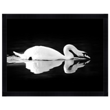 Featuring Gliding Swan Black Framed Art by Wendover Art at Amethyst Home. Gliding quietly along the river, this framed view of the swan is captured beautifully in this Gliding Swan Art.
56"w x 43"h
Medium: Matte PaperTreatment: Straight Fit (No Mats)Size: 56"w x 43"h
Framed in Black with Glass Framed as shown.  Amethyst Home provides interior design, new home construction design consulting, vintage area rugs, and lighting in the Calabasas metro area.