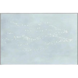 Flight of Passage 3 Art