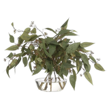 Eucalyptus, Faux Watergarden, 19″