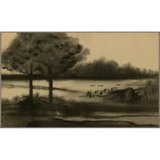 Arboreal Study III