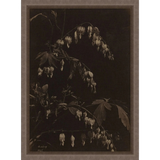 A Bleeding Heart Art