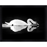 Gliding Swan Black Framed Art