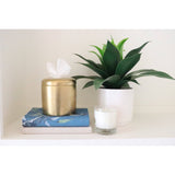 The Coco Tissue Vessel