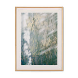 A Continuity by Fountain Grass Studios