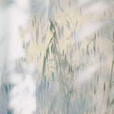 A Continuity by Fountain Grass Studios