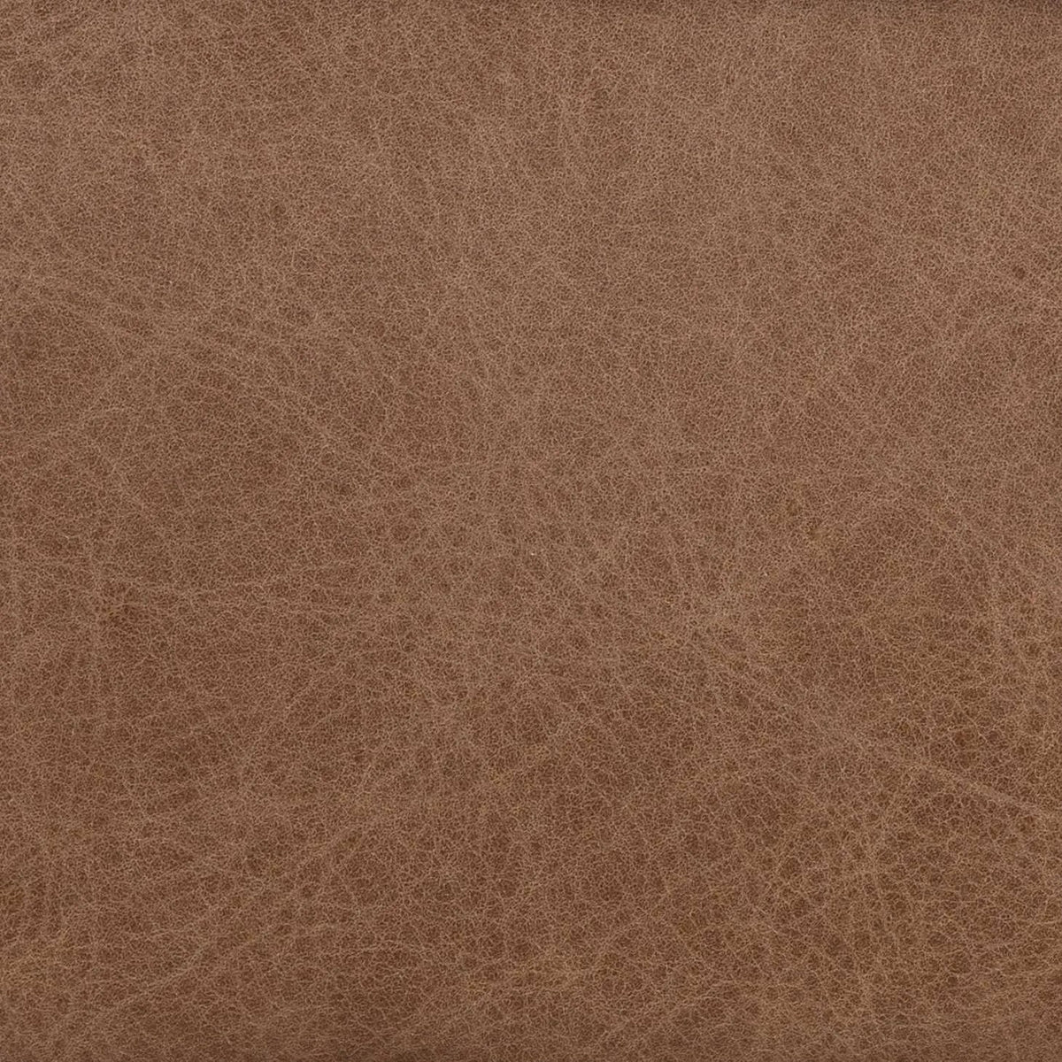 Chaps Saddle | Four Hands Sample