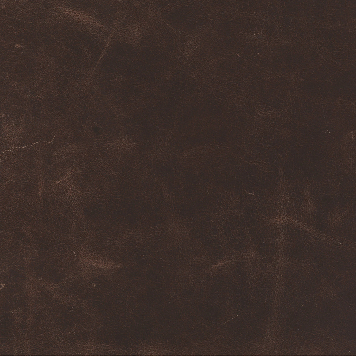 Conroe Cigar | Four Hands Sample
