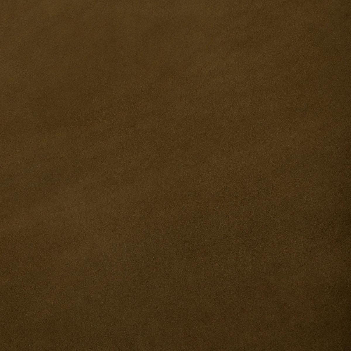 Cottswald Moss Nubuck | Four Hands Sample