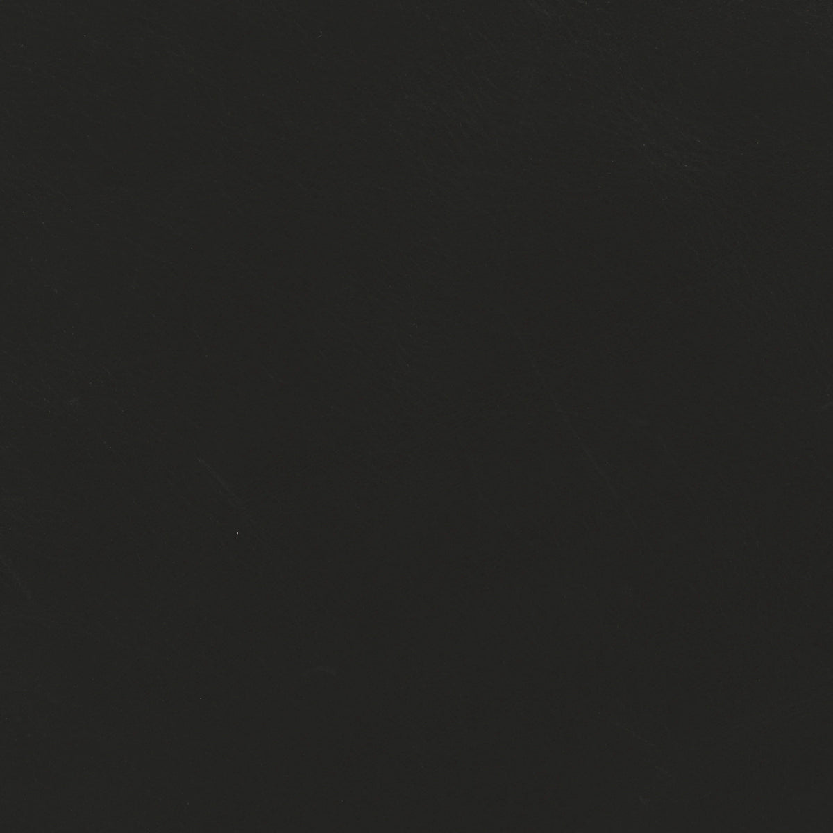 Dakota Black | Four Hands Sample