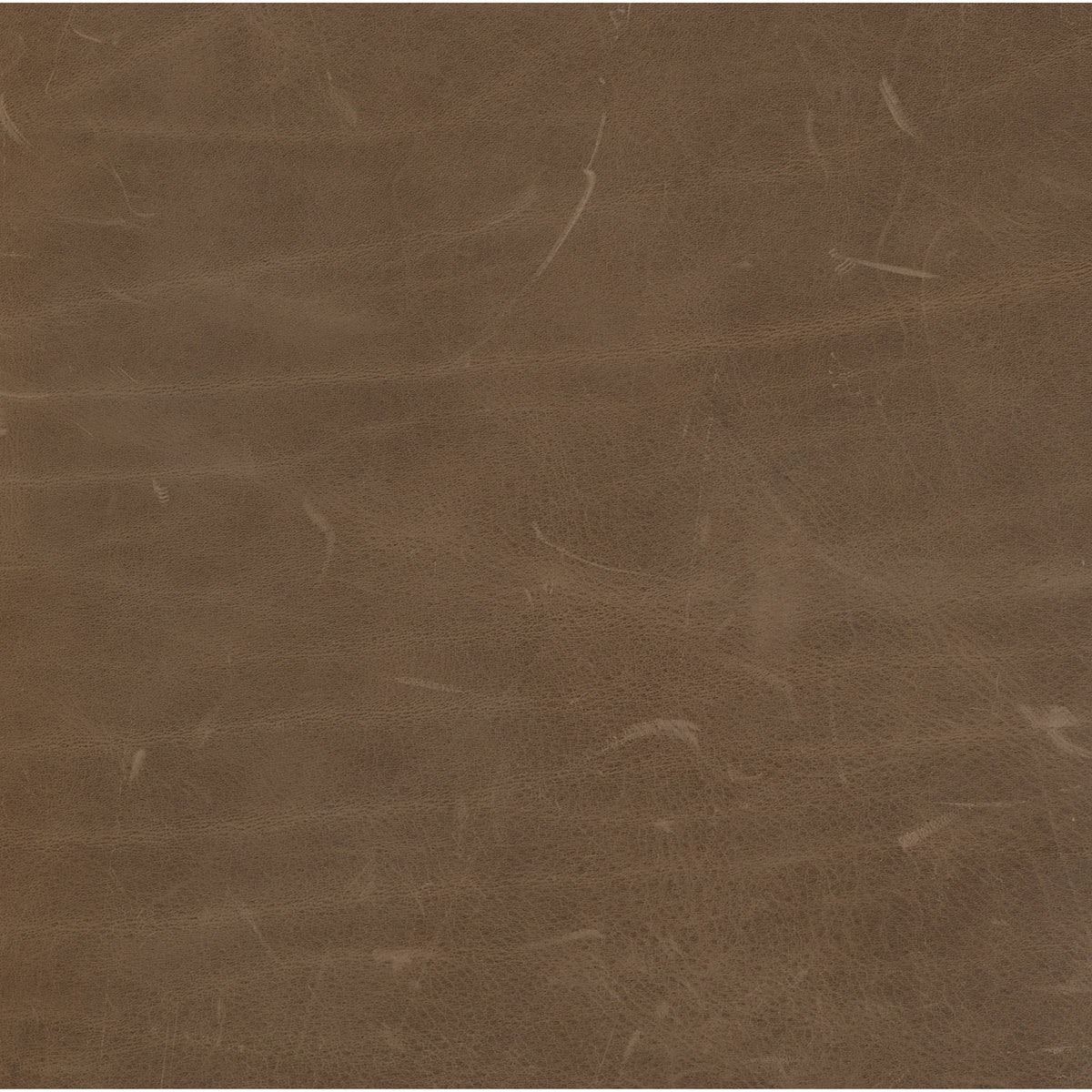 Dakota Fossil | Four Hands Sample