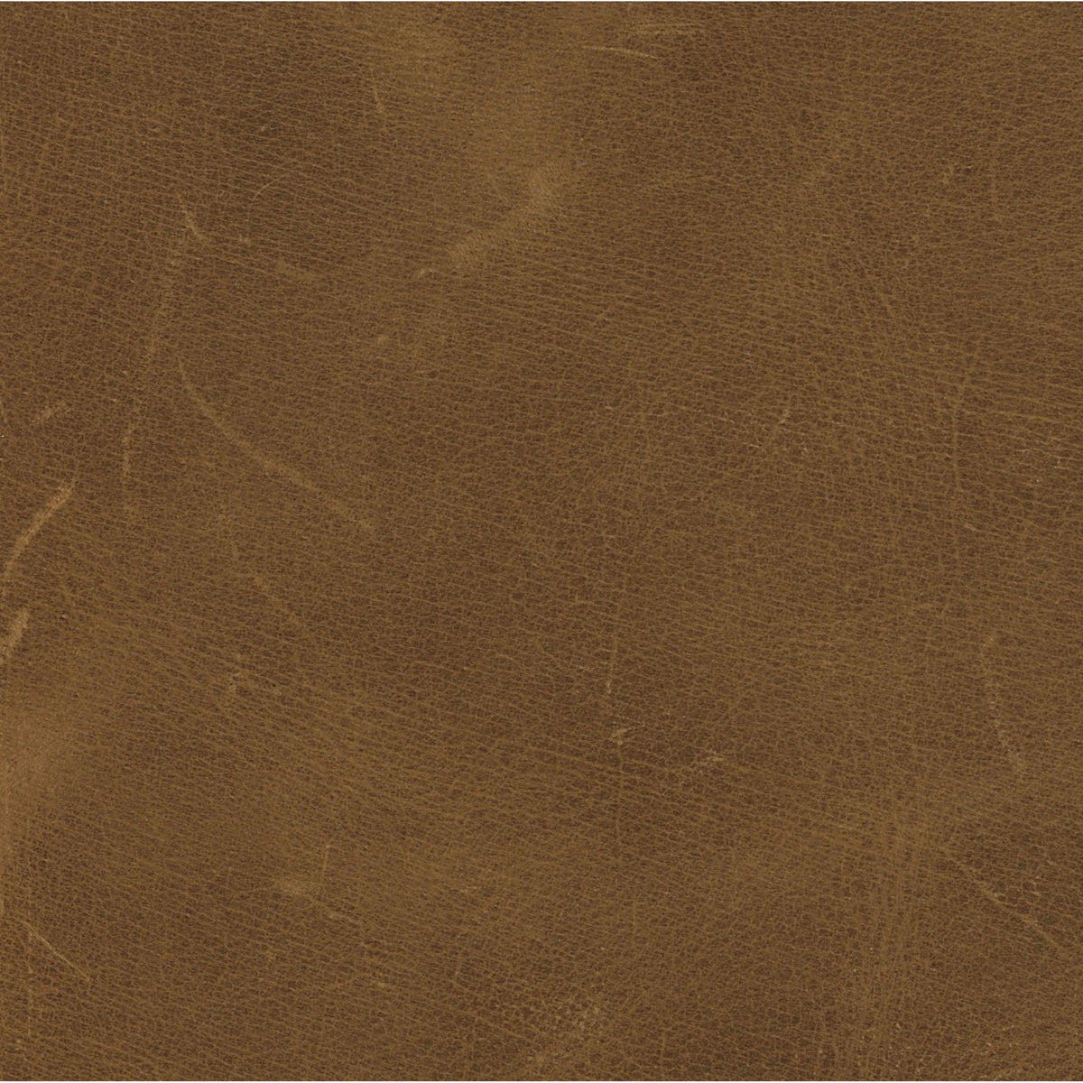 Dakota Warm Taupe | Four Hands Sample