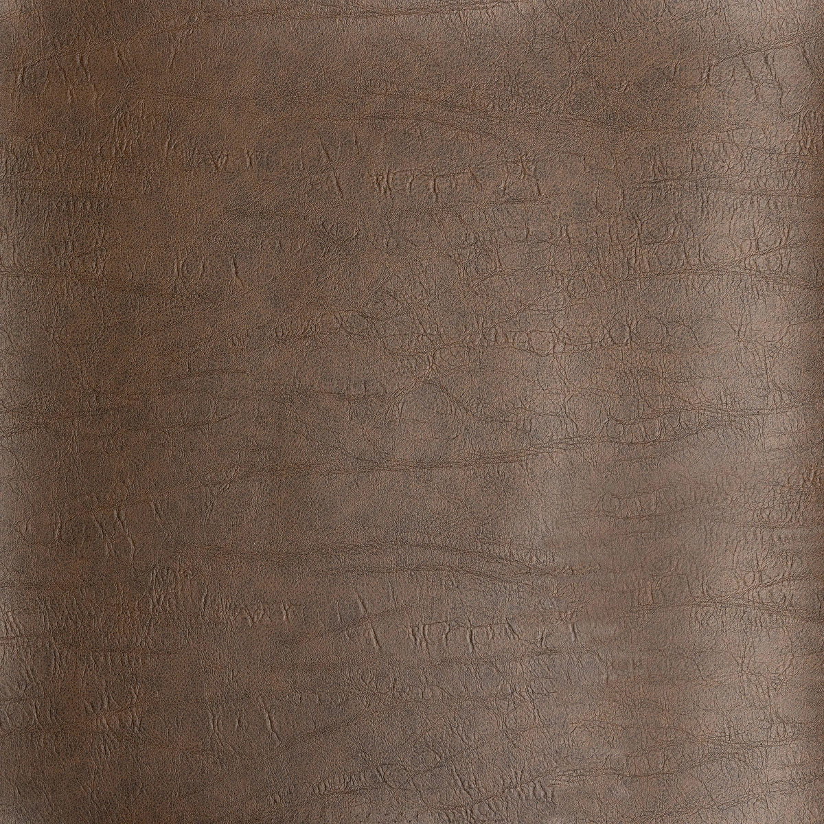 Distressed Brown | Four Hands Sample