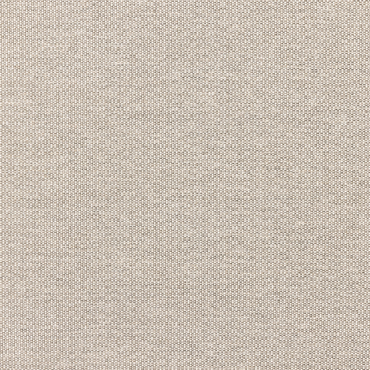 Faye Ash | Four Hands Sample