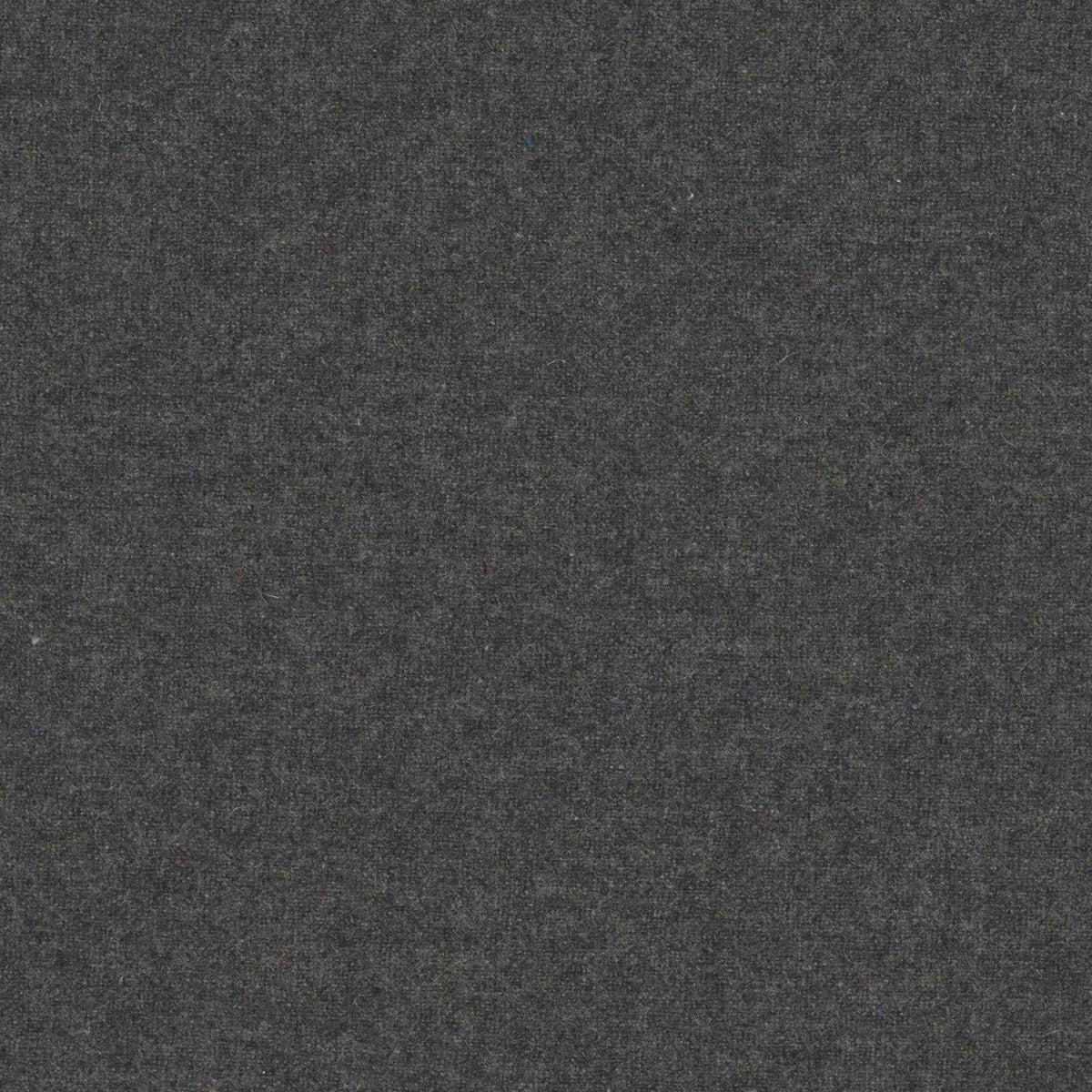 Felt Charcoal | Four Hands Sample
