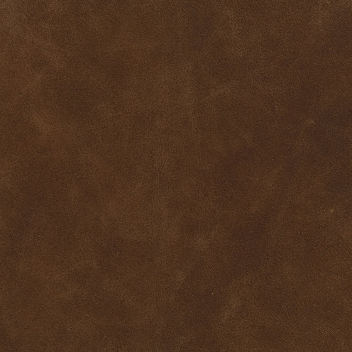 Havana Brown | Four Hands Sample