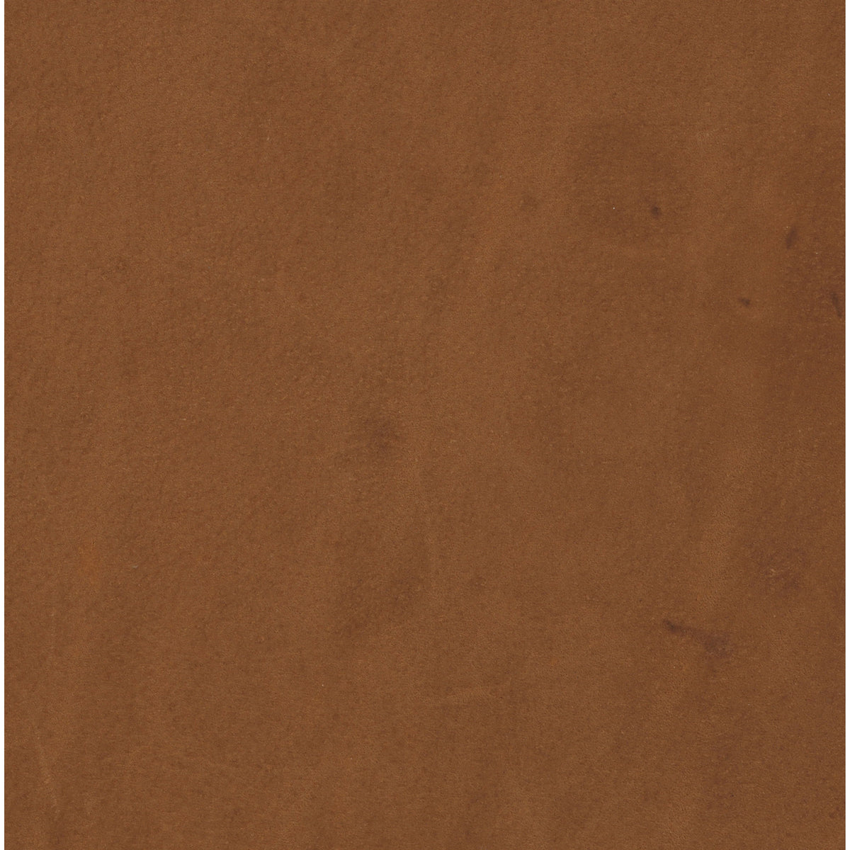 Heritage Camel | Four Hands Sample
