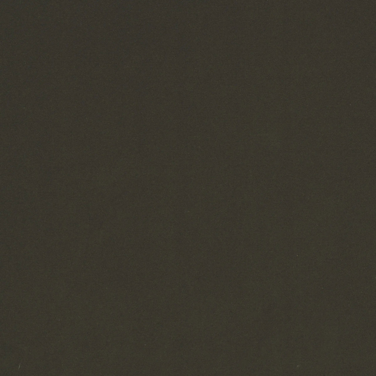 Modern Velvet Loden | Four Hands Sample