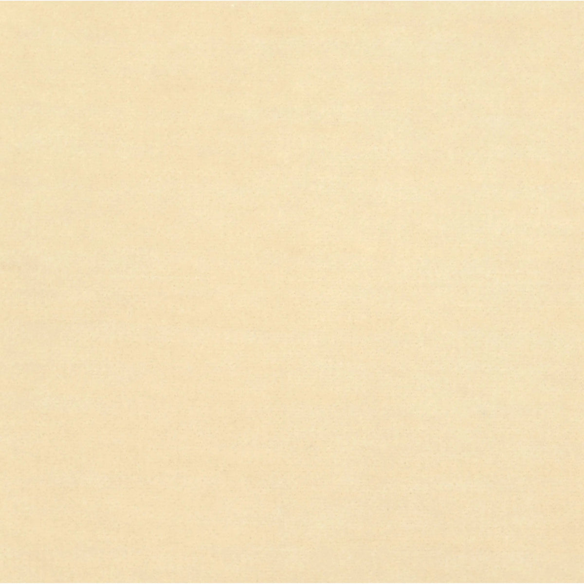 Monte Parchment | Four Hands Sample