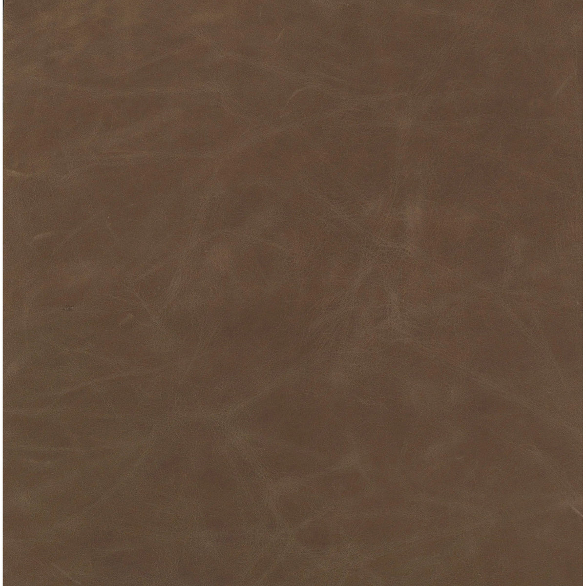 Natural Washed Sand | Four Hands Sample