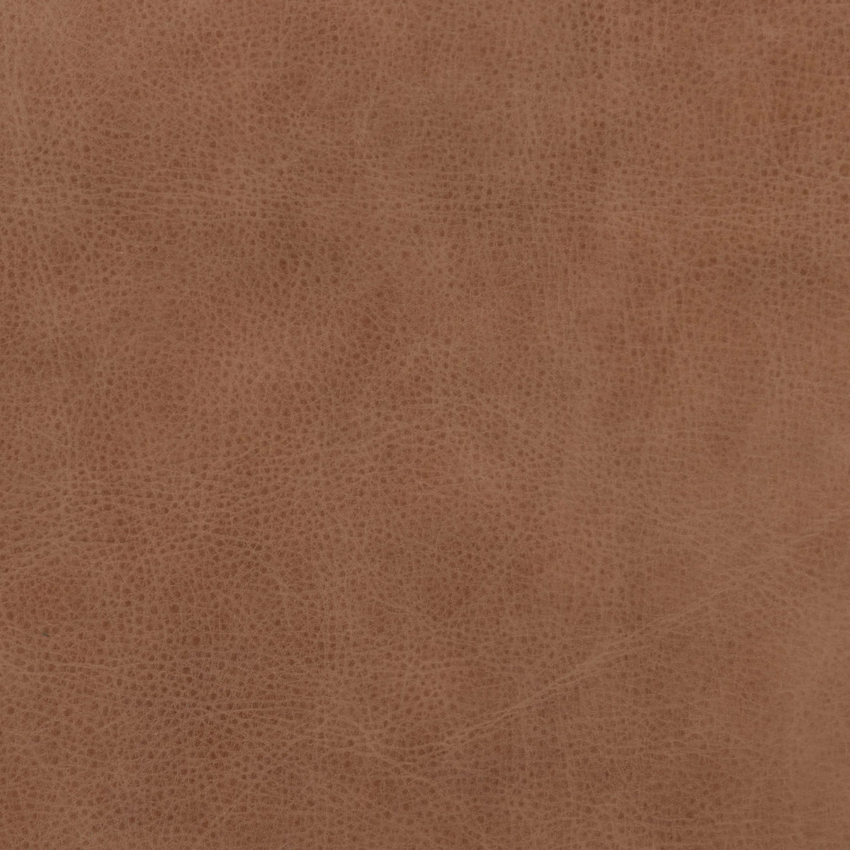 Palermo Cognac | Four Hands Sample