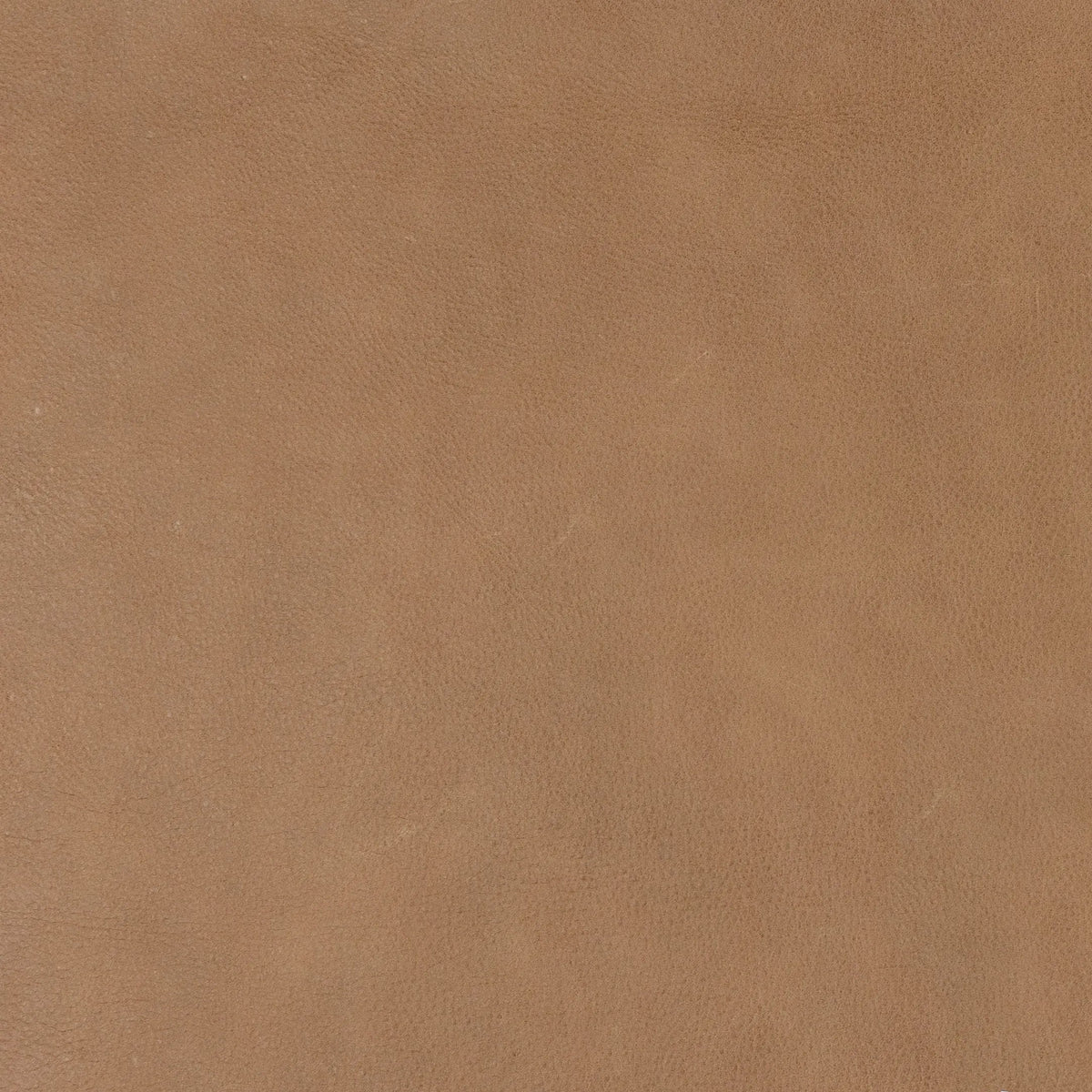 Palermo Nude | Four Hands Sample