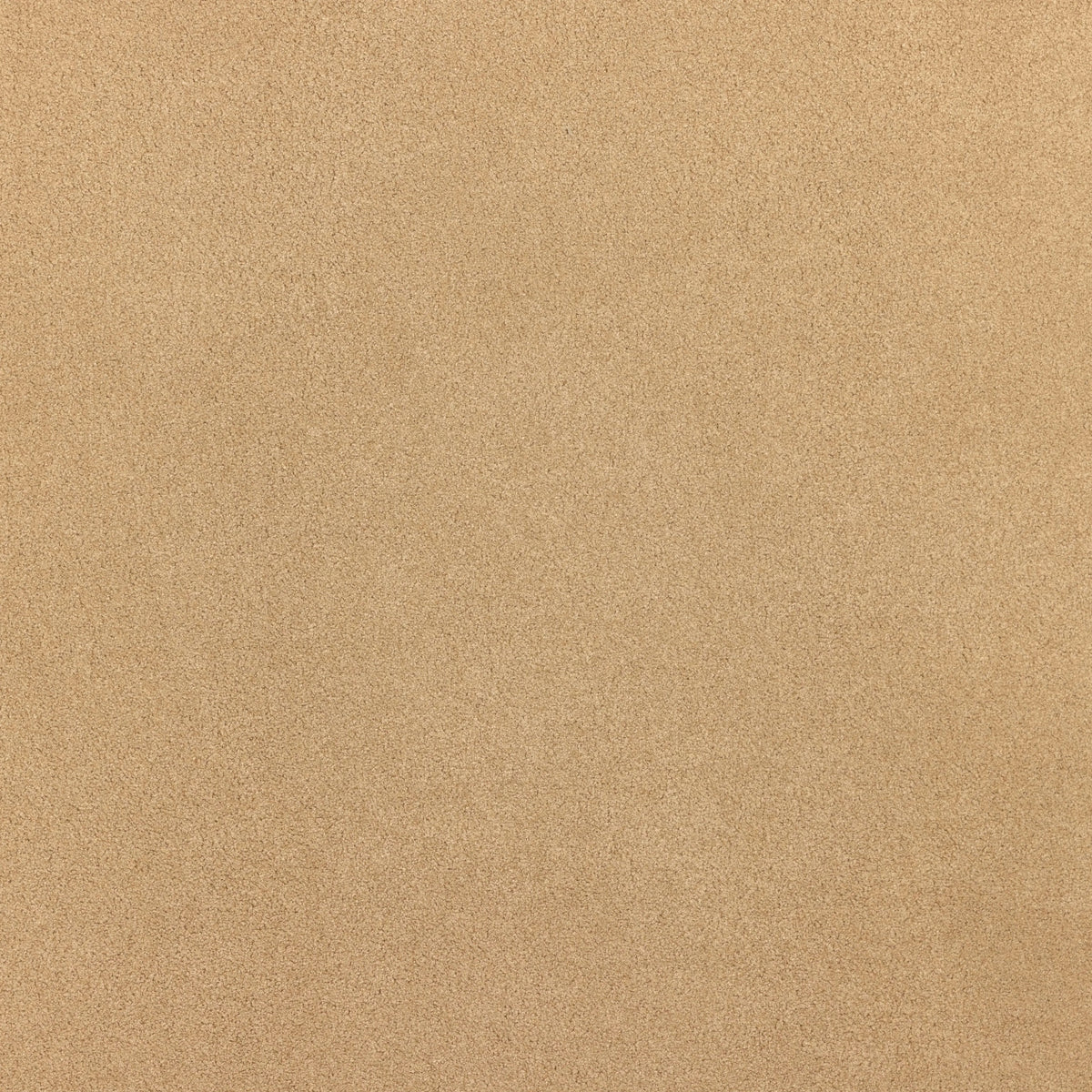 Piermont Sand | Four Hands Sample