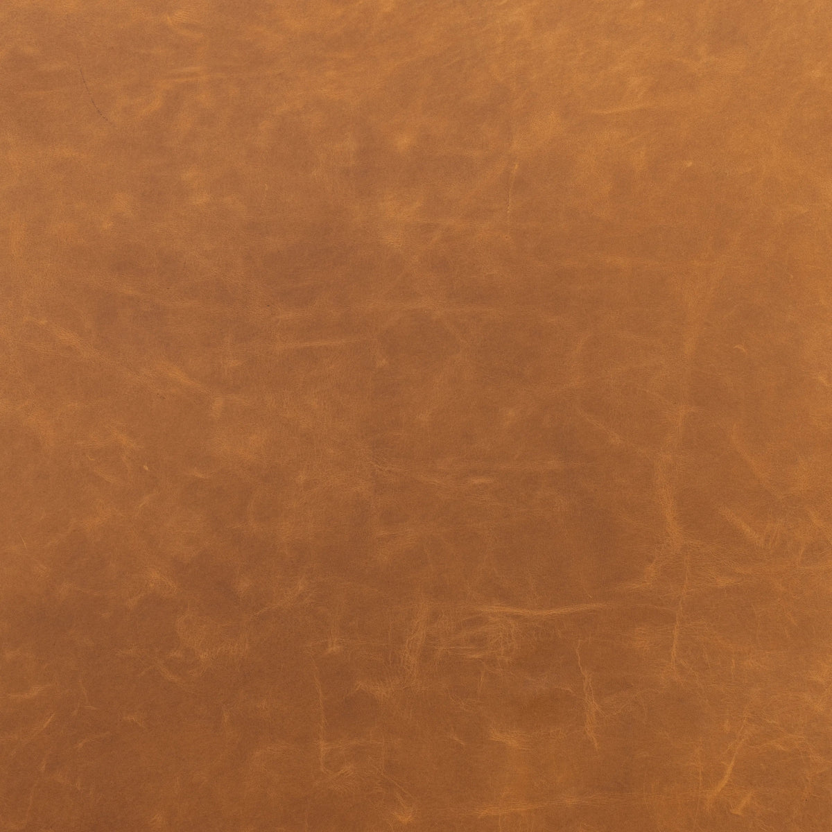 Raleigh Chestnut | Four Hands Sample